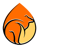 Ki-Tudo